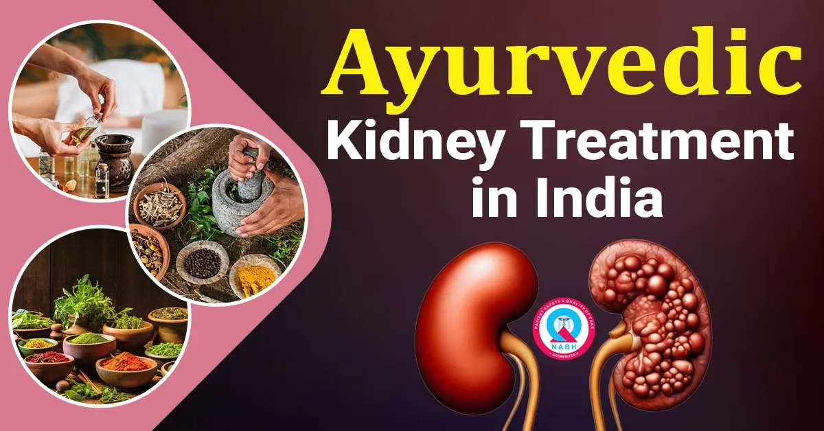 ayurvedic-kidney-treatment-in-india